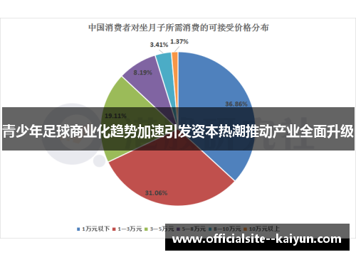 青少年足球商业化趋势加速引发资本热潮推动产业全面升级